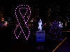 045-la-salette-at-christmas