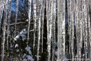 Winter - Icicles