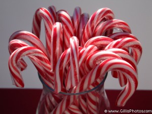 Christmas Still Life - Candy canes