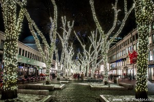 Quincy Market Christmas Lights and Trees