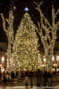 Quincy Market Christmas Tree